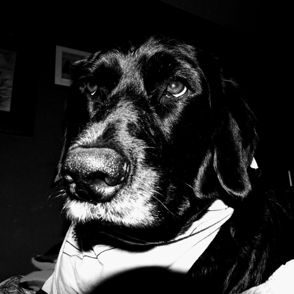 Meet your Posher, Patrick